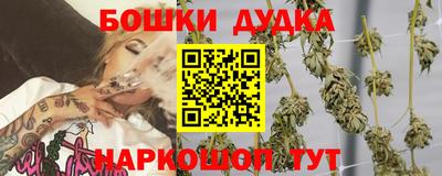 прущие грибы Северобайкальск