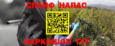 прущие грибы Северобайкальск
